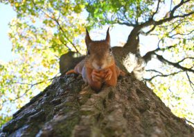 A&nbsp;Ty&nbsp;kiedy zasadzisz swoje drzewo?